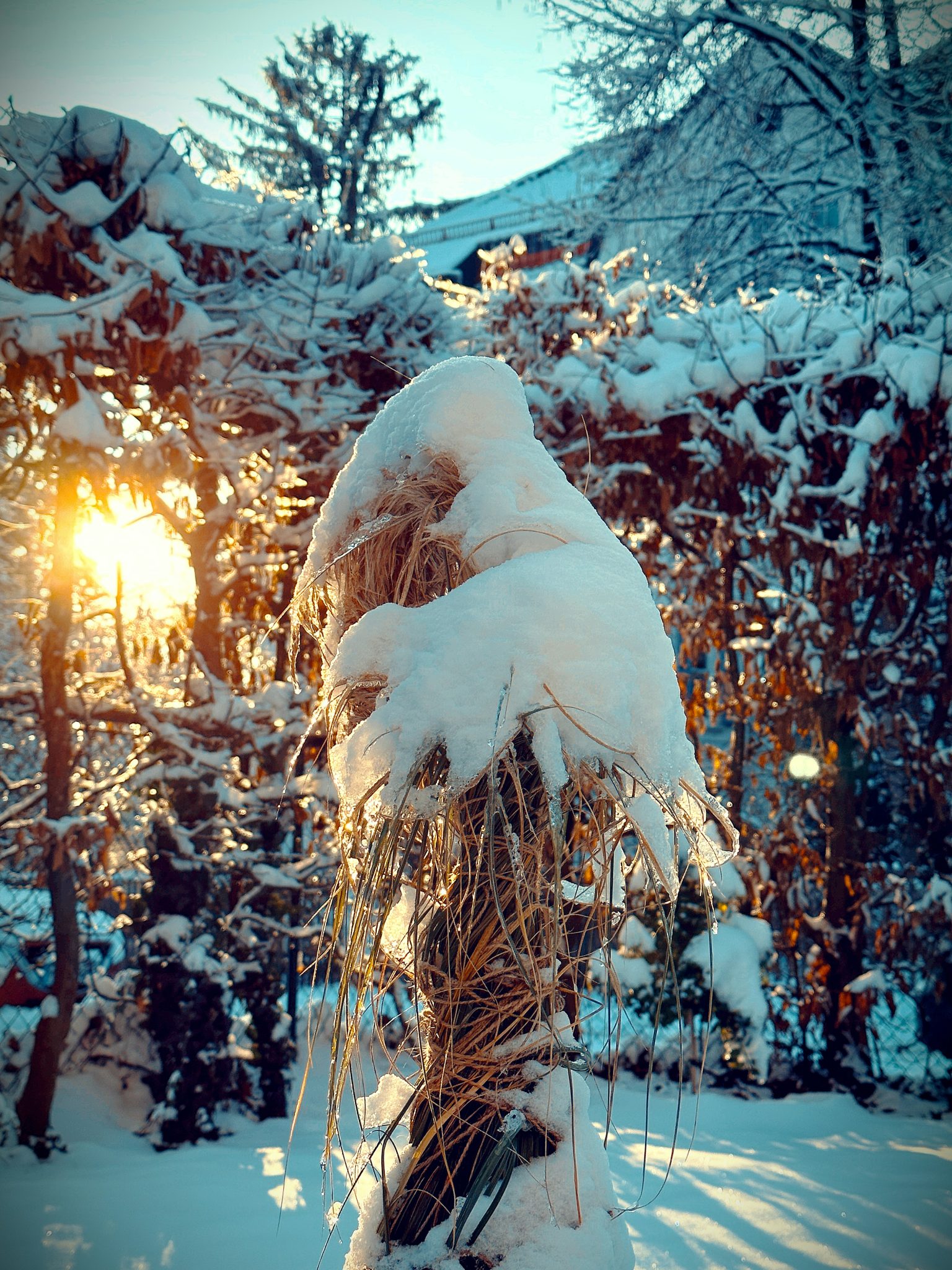 Ice covered landscape for the book Cold Front by K.A. Dunlap (aka, Kevin A Dunlap). Photo courtesy of Robert Perkins.